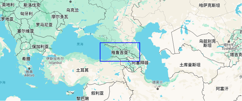 格魯吉亞各領(lǐng)域國(guó)際合作交流會(huì)議，公信榮幸助力其中
